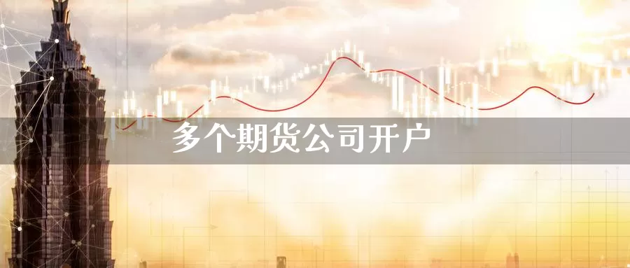 多个期货公司开户_https://www.dong10.com_期货_第1张