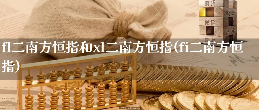 fl二南方恒指和xl二南方恒指(fi二南方恒指)_https://www.dong10.com_期货_第1张