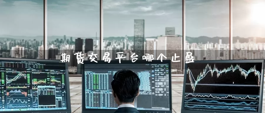 期货交易平台哪个止盈_https://www.dong10.com_期货_第1张