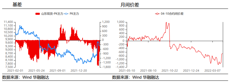 减种预期加持 花生回调幅度有限_https://www.dong10.com_要闻_第4张