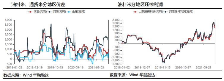 减种预期加持 花生回调幅度有限_https://www.dong10.com_要闻_第5张