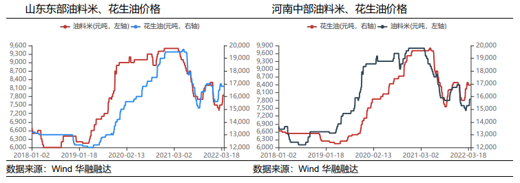 减种预期加持 花生回调幅度有限_https://www.dong10.com_要闻_第3张