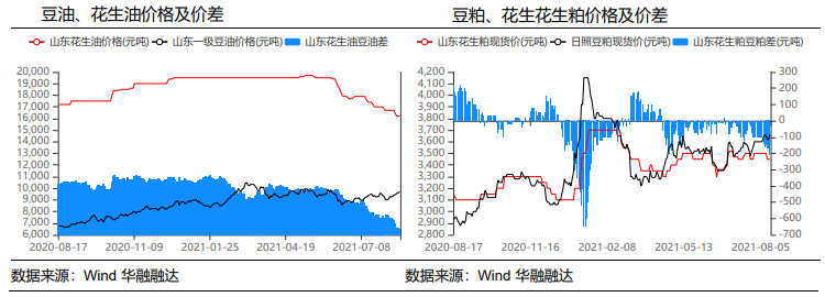 减种预期加持 花生回调幅度有限_https://www.dong10.com_要闻_第6张