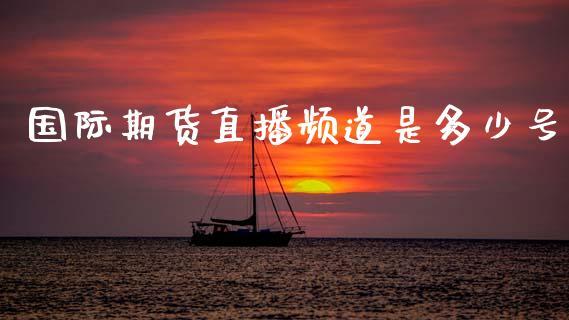 国际期货直播频道是多少号_https://www.dong10.com_期货直播_第1张