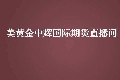 美黄金中辉国际期货直播间_https://www.dong10.com_期货直播_第1张