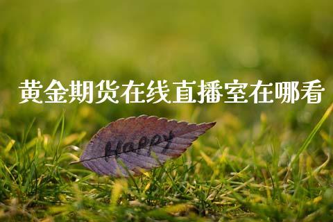 黄金期货在线直播室在哪看_https://www.dong10.com_期货直播_第1张