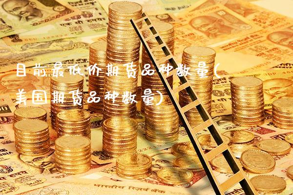 目前最低价期货品种数量(美国期货品种数量)_https://www.dong10.com_期货_第1张
