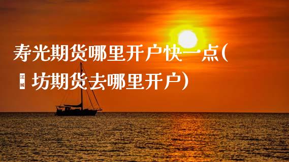 寿光期货哪里开户快一点(潍坊期货去哪里开户)_https://www.dong10.com_期货_第1张