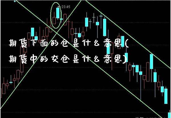 期货下面的仓是什么意思(期货中的交仓是什么意思)_https://www.dong10.com_期货_第1张