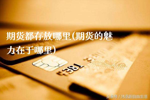 期货都存放哪里(期货的魅力在于哪里)_https://www.dong10.com_期货_第1张