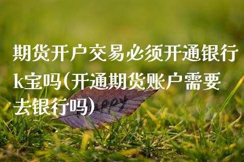 期货开户交易必须开通银行k宝吗(开通期货账户需要去银行吗)_https://www.dong10.com_期货_第1张