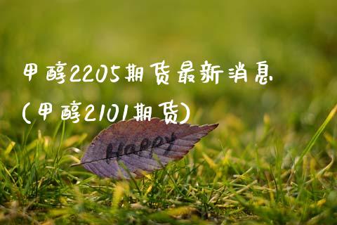 甲醇2205期货最新消息(甲醇2101期货)_https://www.dong10.com_期货_第1张