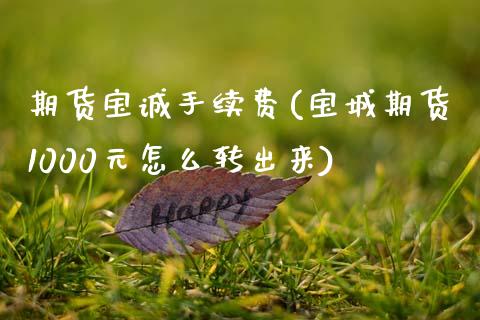 期货宝诚手续费(宝城期货1000元怎么转出来)_https://www.dong10.com_期货_第1张