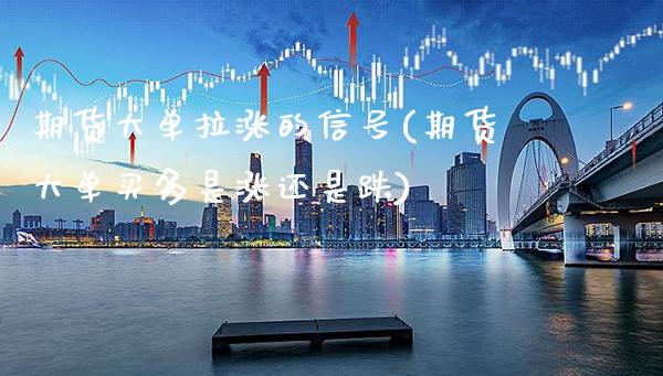 期货大单拉涨的信号(期货大单买多是涨还是跌)_https://www.dong10.com_期货_第1张
