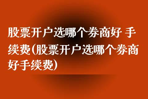 股票开户选哪个券商好 手续费(股票开户选哪个券商好手续费)_https://www.dong10.com_期货_第1张