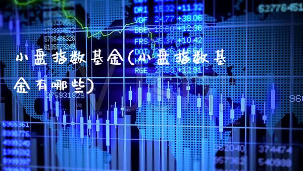 小盘指数基金(小盘指数基金有哪些)_https://www.dong10.com_期货_第1张