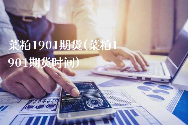 菜粕1901期货(菜粕1901期货时间)_https://www.dong10.com_期货_第1张