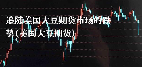 追随美国大豆期货市场的跌势(美国大豆期货)_https://www.dong10.com_期货_第1张