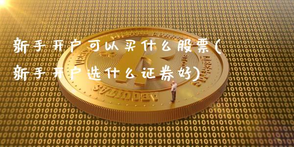 新手开户可以买什么股票(新手开户选什么证券好)_https://www.dong10.com_期货_第1张