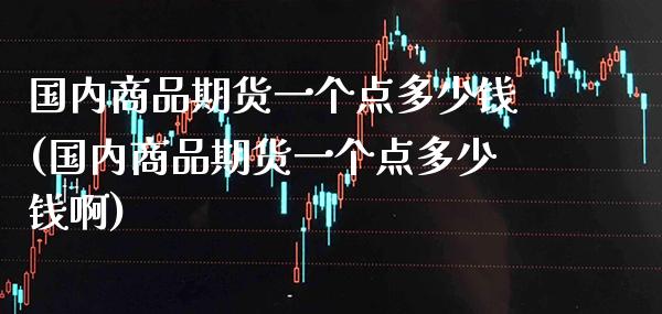 国内商品期货一个点多少钱(国内商品期货一个点多少钱啊)_https://www.dong10.com_期货_第1张