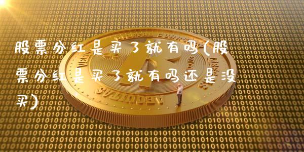 股票分红是买了就有吗(股票分红是买了就有吗还是没买)_https://www.dong10.com_期货_第1张