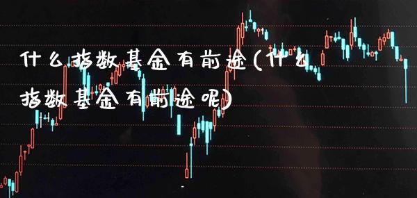 什么指数基金有前途(什么指数基金有前途呢)_https://www.dong10.com_期货_第1张