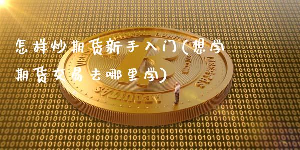 怎样炒期货新手入门(想学期货交易去哪里学)_https://www.dong10.com_期货_第1张
