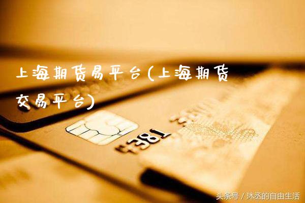 上海期货易平台(上海期货交易平台)_https://www.dong10.com_期货_第1张