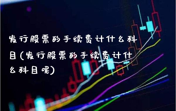 发行股票的手续费计什么科目(发行股票的手续费计什么科目呢)_https://www.dong10.com_期货_第1张