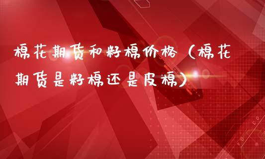 棉花期货和籽棉价格（棉花期货是籽棉还是皮棉）_https://www.dong10.com_期货_第1张