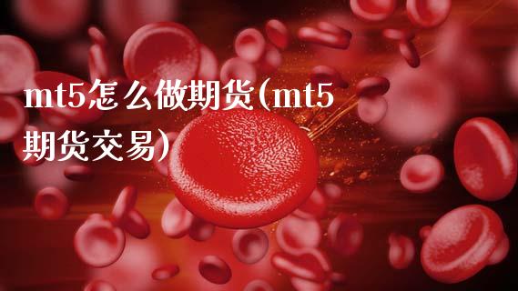 mt5怎么做期货(mt5期货交易)_https://www.dong10.com_期货_第1张