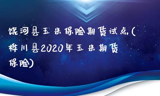饶河县玉米保险期货试点(桦川县2020年玉米期货保险)_https://www.dong10.com_期货_第1张