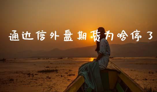 通达信外盘期货为啥停了_https://www.dong10.com_期货_第1张