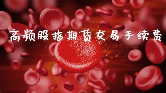 高频股指期货交易手续费_https://www.dong10.com_期货_第1张