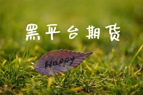 黑平台期货_https://www.dong10.com_期货_第1张