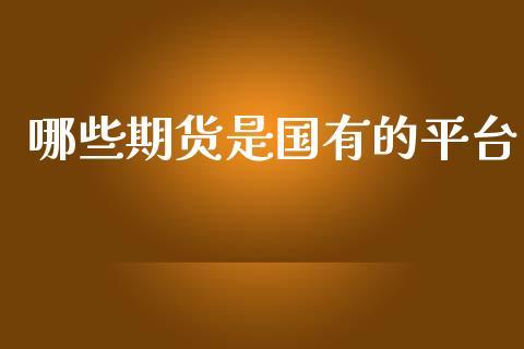 哪些期货是国有的平台_https://www.dong10.com_期货_第1张