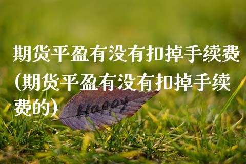 期货平盈有没有扣掉手续费(期货平盈有没有扣掉手续费的)_https://www.dong10.com_期货_第1张