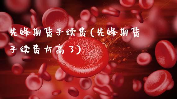 先锋期货手续费(先锋期货手续费太高了)_https://www.dong10.com_期货_第1张