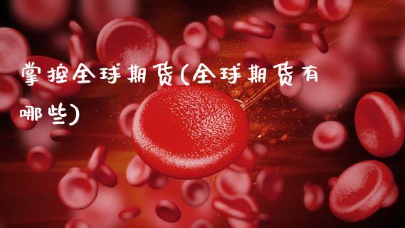 掌控全球期货(全球期货有哪些)_https://www.dong10.com_期货_第1张