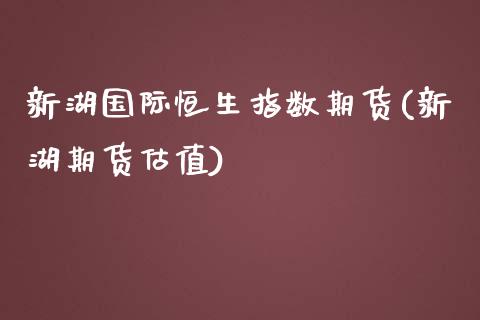 新湖国际恒生指数期货(新湖期货估值)_https://www.dong10.com_期货_第1张