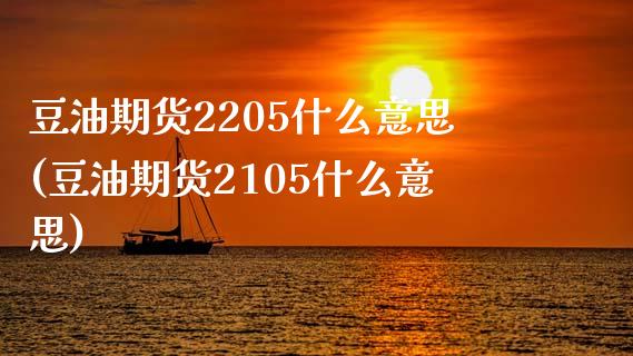 豆油期货2205什么意思(豆油期货2105什么意思)_https://www.dong10.com_期货_第1张
