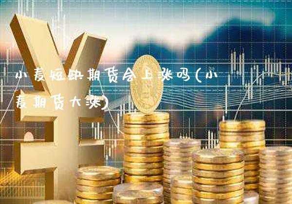 小麦短缺期货会上涨吗(小麦期货大涨)_https://www.dong10.com_期货_第1张