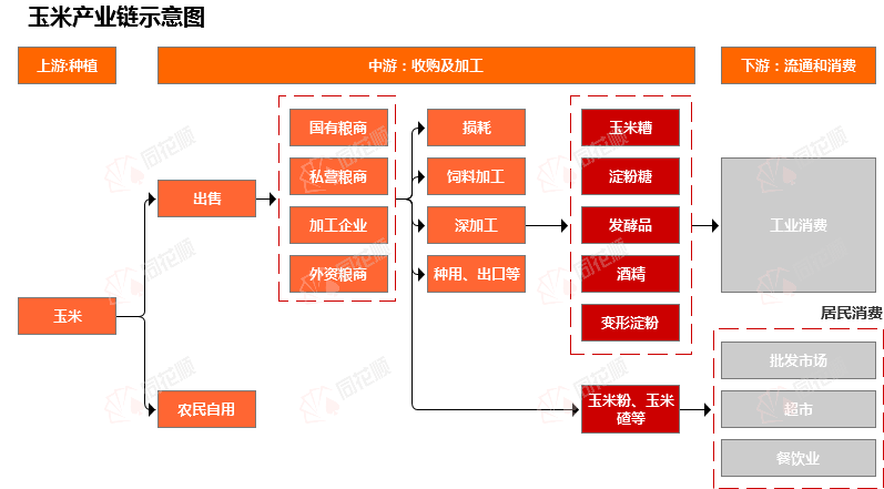 价格前线|12月23日玉米异动提示_https://www.dong10.com_理财_第3张