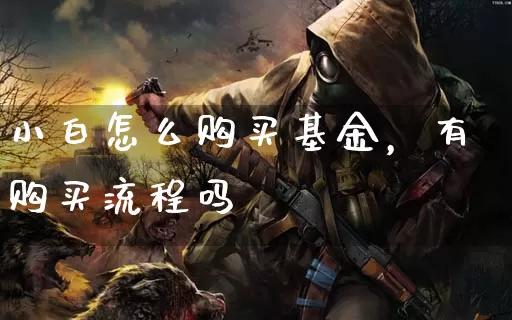 小白怎么购买基金，有购买流程吗_https://www.dong10.com_期货_第1张