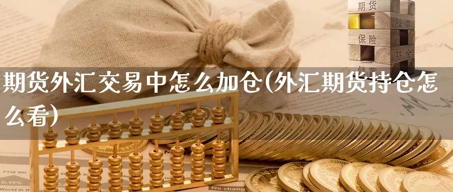 期货外汇交易中怎么加仓(外汇期货持仓怎么看)_https://www.dong10.com_期货要闻_第1张