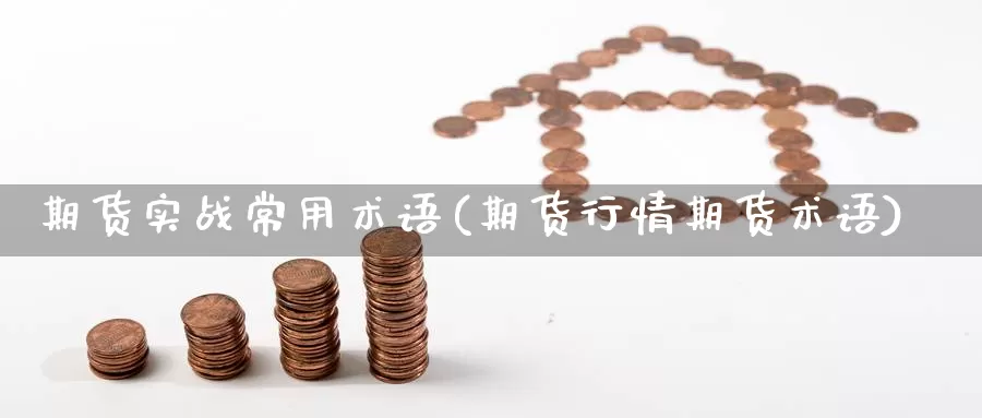 期货实战常用术语(期货行情期货术语)_https://www.dong10.com_期货要闻_第1张