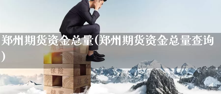 郑州期货资金总量(郑州期货资金总量查询)_https://www.dong10.com_期货_第1张